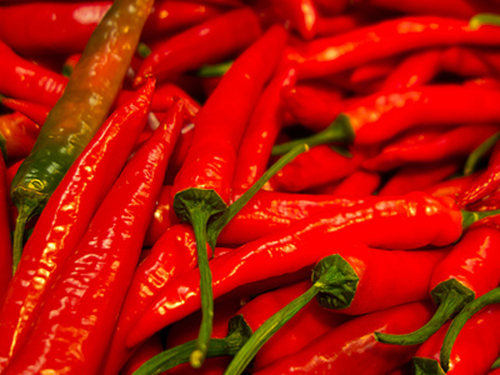 辣椒