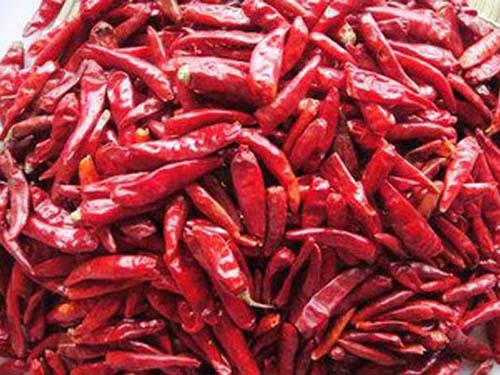 干辣椒