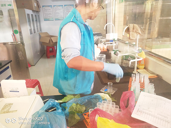 百润祥膳食农产品检测