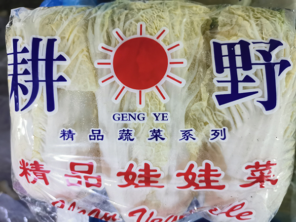 大白菜